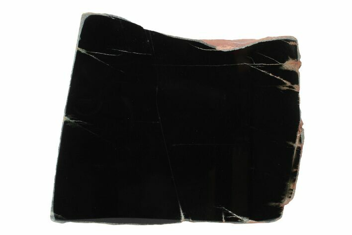 Polished Black Jade (Actinolite) Slab - Western Australia #240182